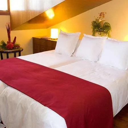 Hotel Del Puigcerdà